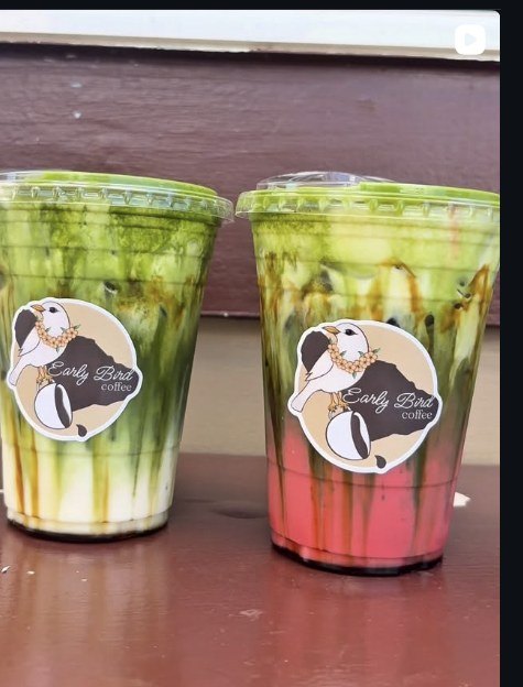 Mango sticky rice matcha drinks layered green and gold in Early Bird logo cups.
